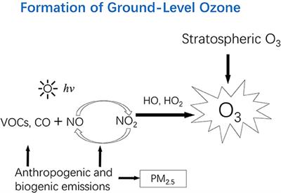 Ozone Pollution: A Major Health Hazard Worldwide